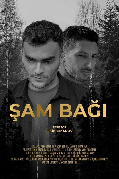 Şam Bağıのポスター