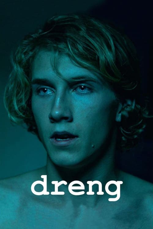 Drengのポスター