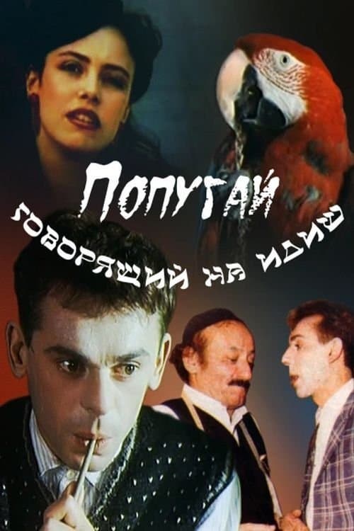 Попугай, говорящий на идишのポスター