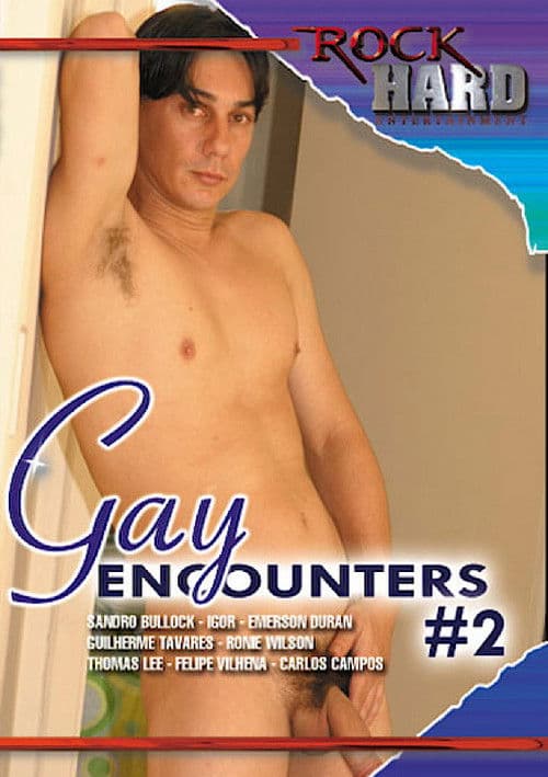 Gay Encounters 2のポスター