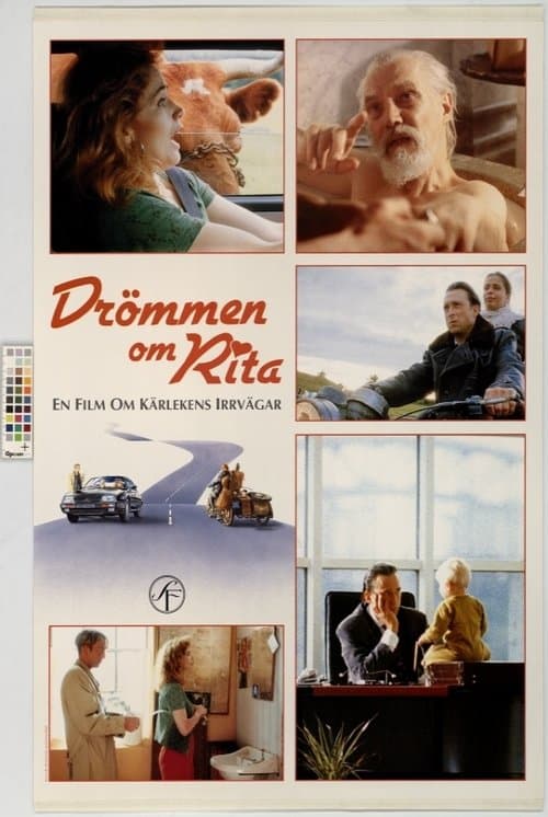 Drömmen om Ritaのポスター