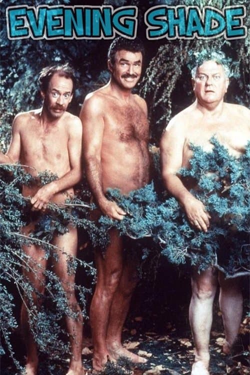 Evening Shadeのポスター