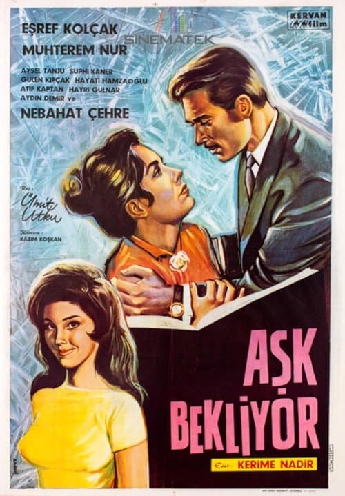 Aşk Bekliyorのポスター