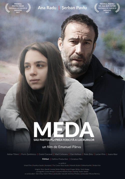 Meda sau partea nu prea fericită a lucrurilorのポスター