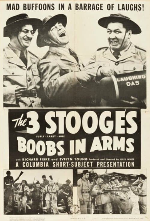 Boobs in Armsのポスター