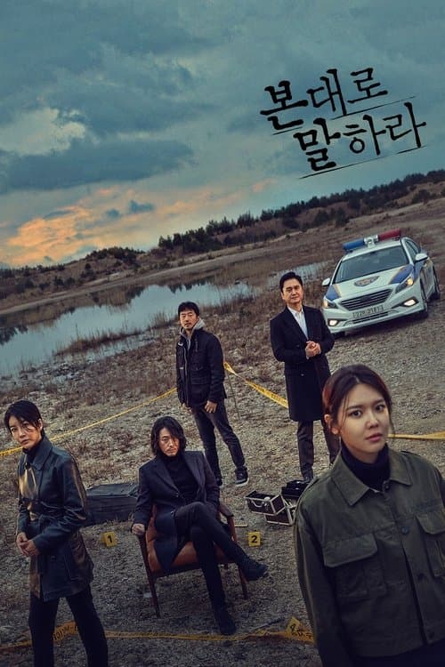 본 대로 말하라のポスター