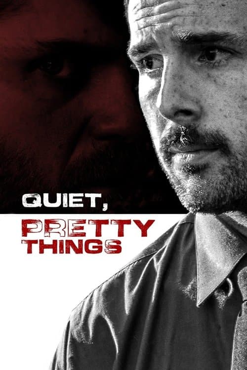 Quiet, Pretty Thingsのポスター