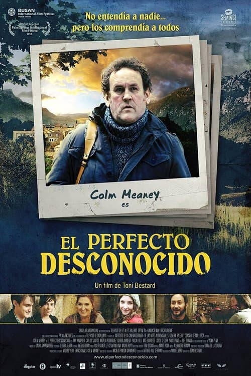 El perfecto desconocidoのポスター