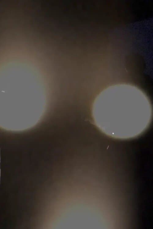 검은 옷을 입지 않았습니까?のポスター