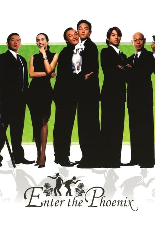 大佬愛美麗のポスター