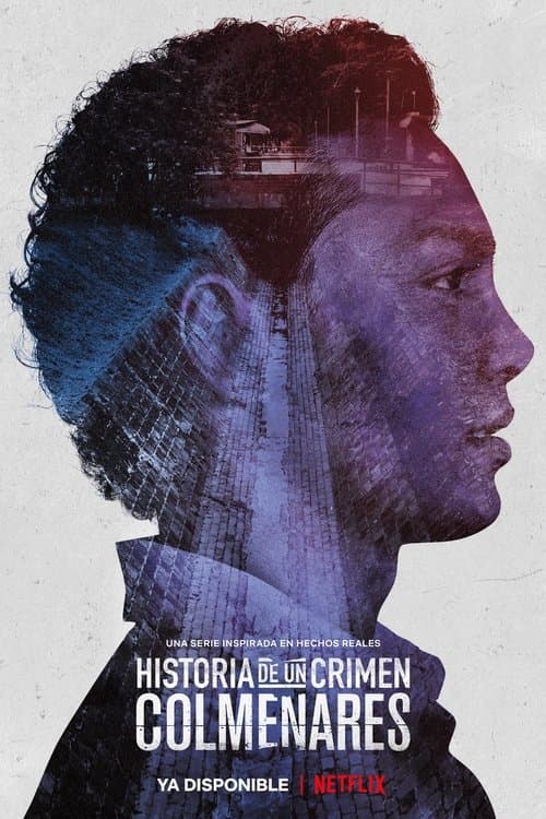 Historia de un crimen: Colmenaresのポスター