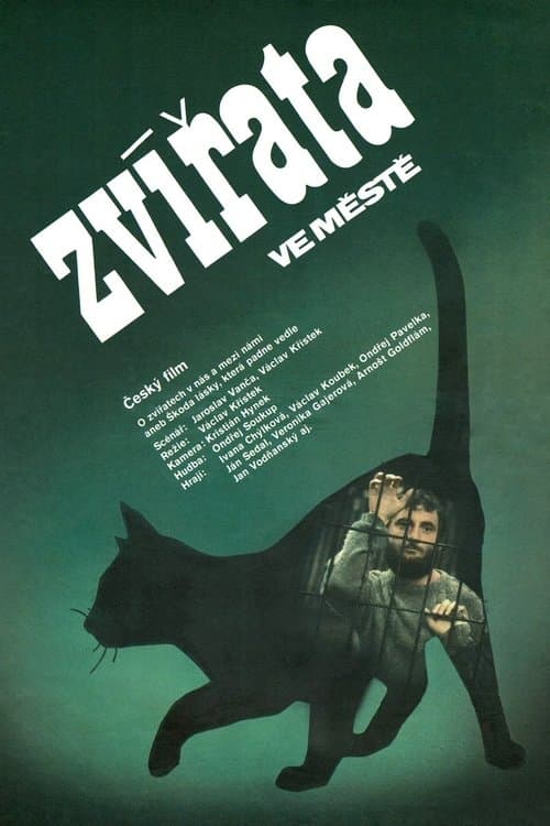 Zvířata ve městěのポスター