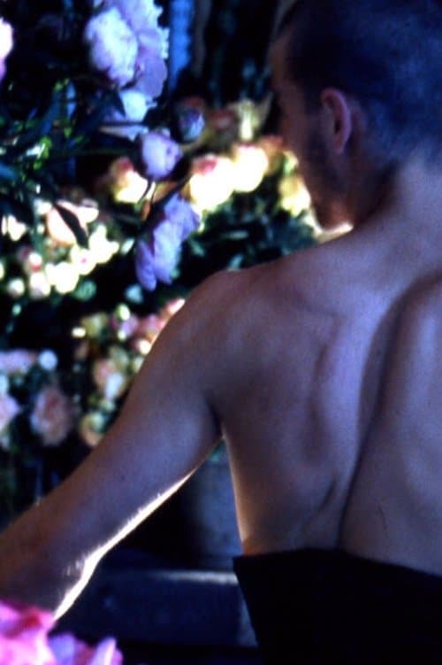 Quelques fleurs pour un chant d'amourのポスター