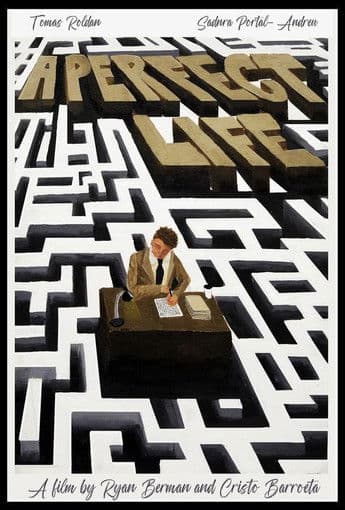 A Perfect Lifeのポスター