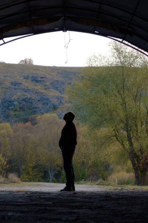 Както ти искашеのポスター