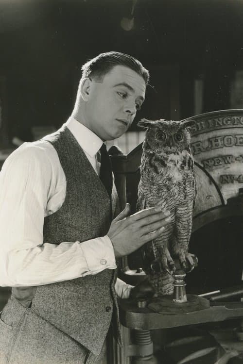 The Jailbirdのポスター