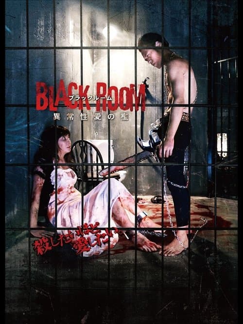 Black Roomのポスター