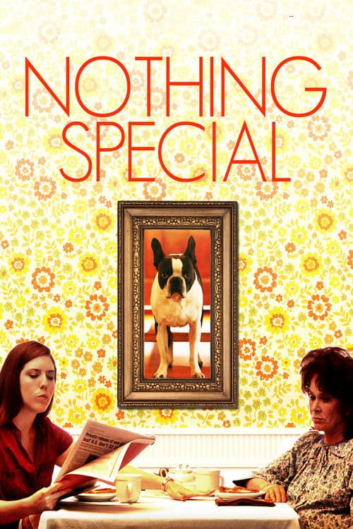 Nothing Specialのポスター