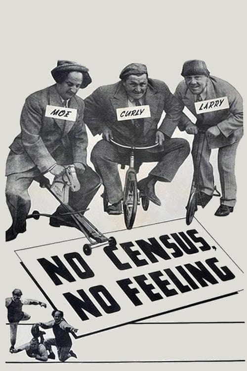 No Census, No Feelingのポスター