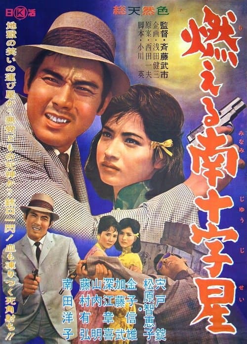 燃える南十字星のポスター