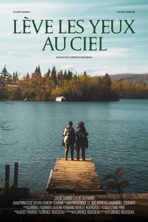 Lève les yeux au cielのポスター