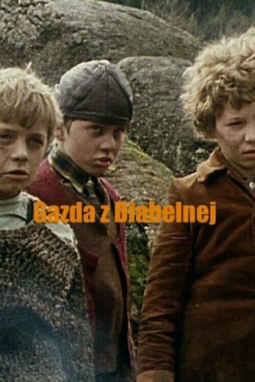 Gazda z Diabelnejのポスター