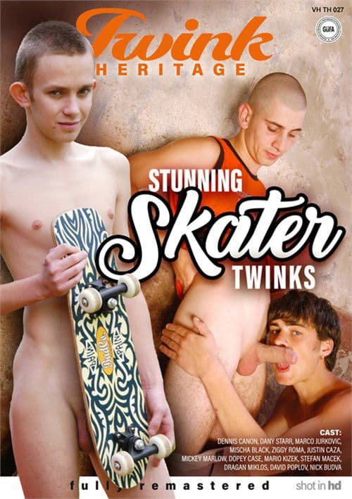 Stunning Skater Twinksのポスター