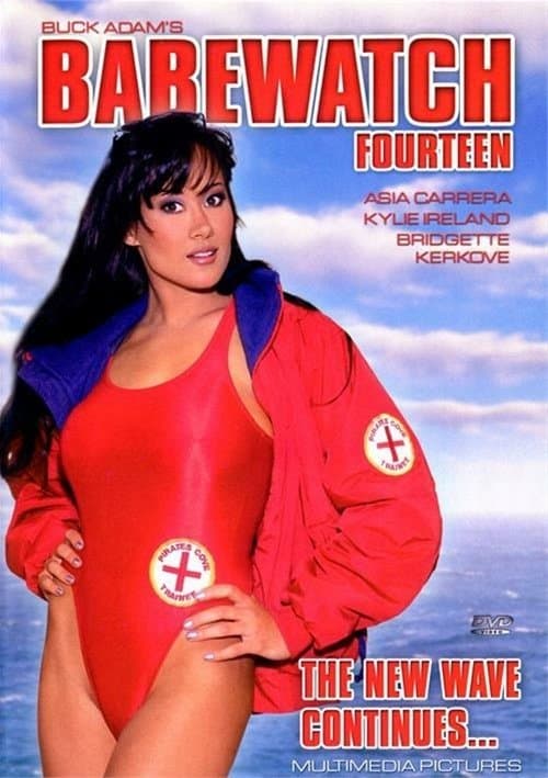 Babewatch 14のポスター