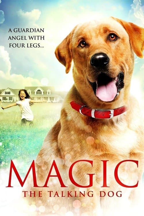 Magicのポスター