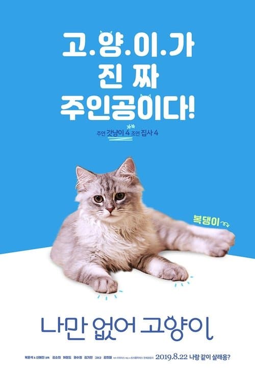 나만 없어 고양이のポスター