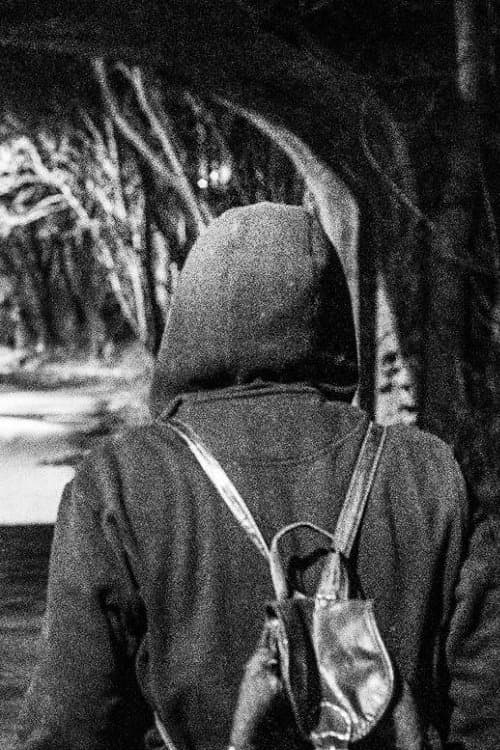 I Should Have Runのポスター