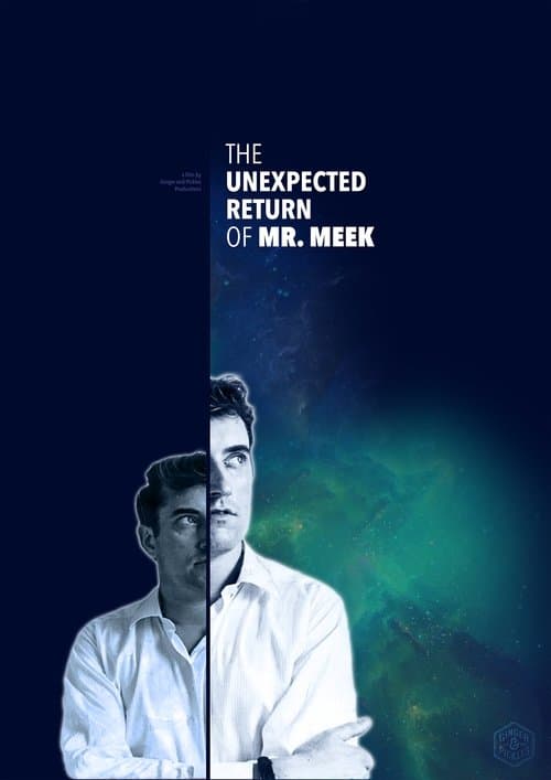 The Unexpected Return of Mr. Meekのポスター