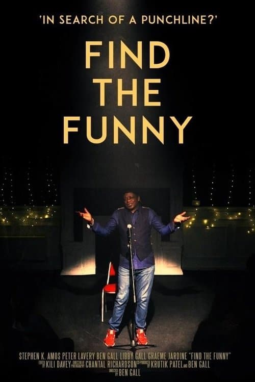 Find the Funnyのポスター