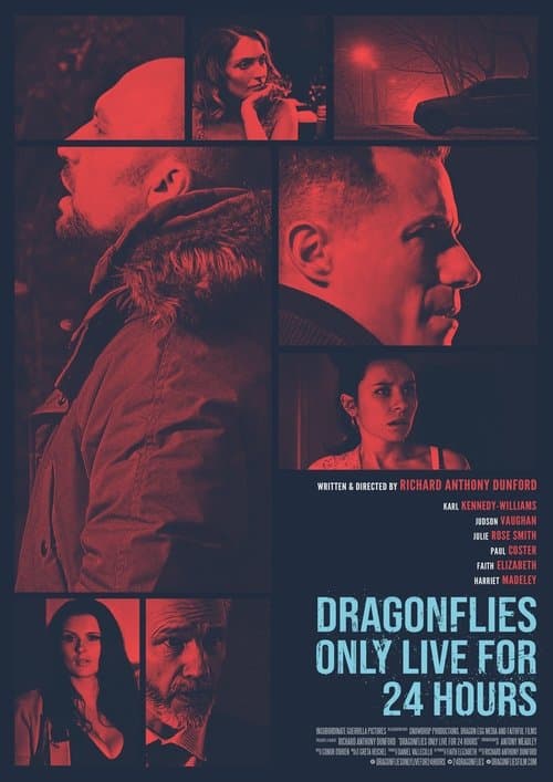 Dragonfiles Only Live for 24 Hoursのポスター