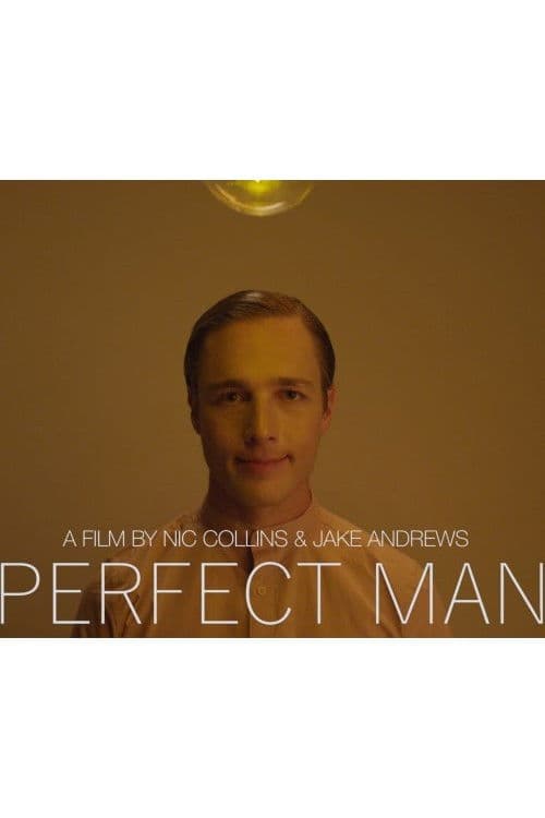 Perfect Manのポスター