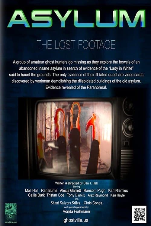 Asylum: the Lost Footageのポスター