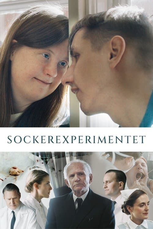 Sockerexperimentetのポスター