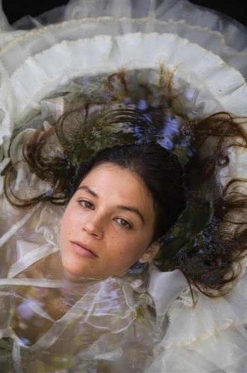 השחףのポスター