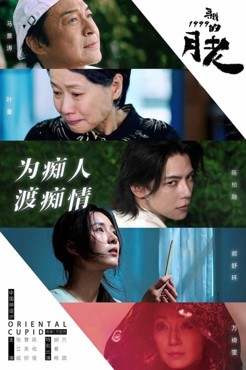 寻找1999的月老のポスター