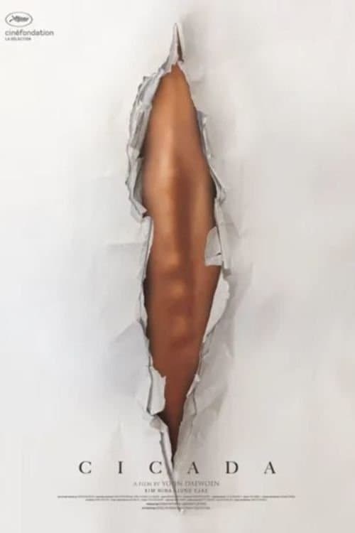 매미のポスター