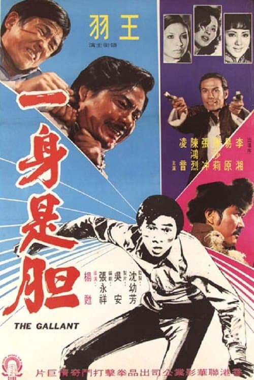 一身是胆のポスター