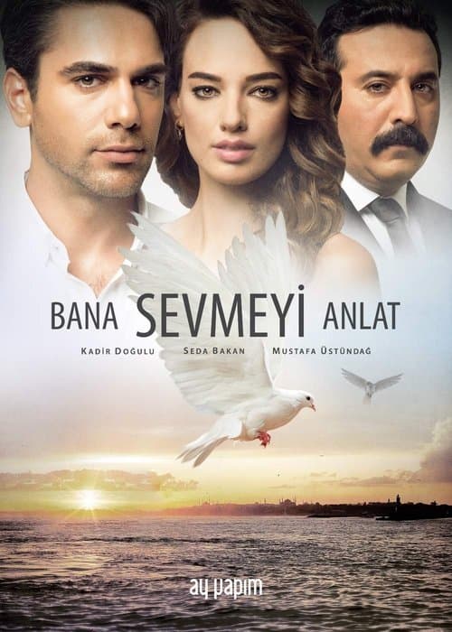 Bana Sevmeyi Anlatのポスター