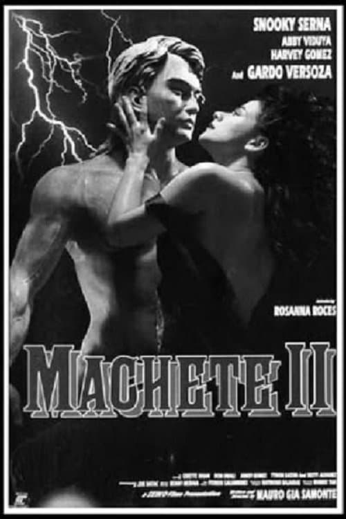 Machete IIのポスター