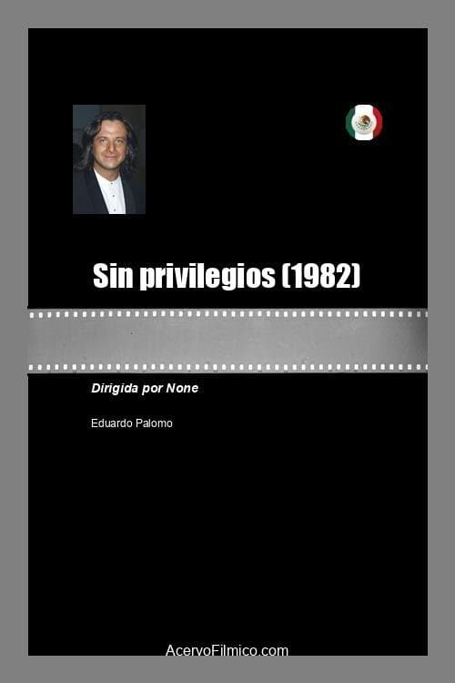 Sin privilegiosのポスター