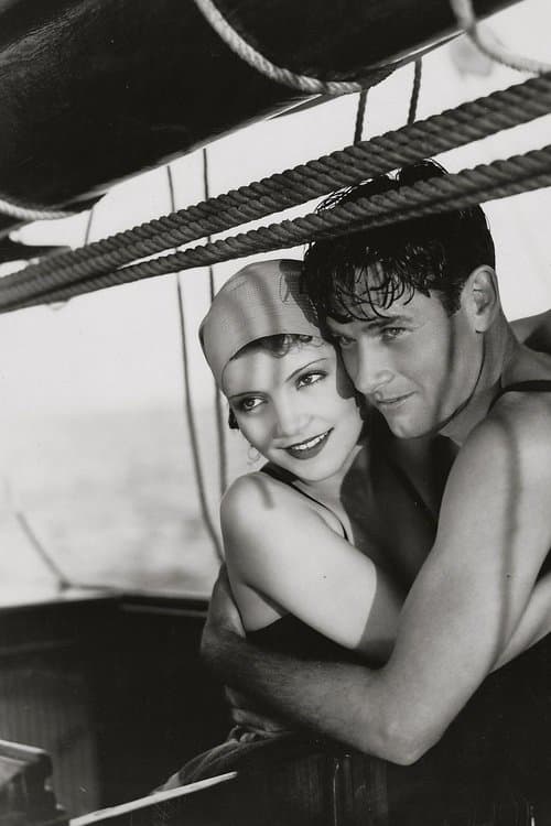 The Secret Callのポスター