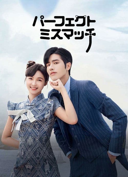パーフェクト・ミスマッチのポスター