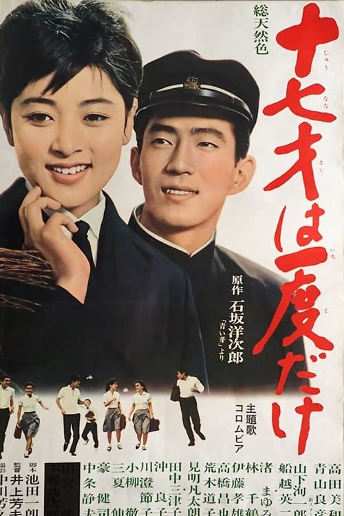 十七才は一度だけのポスター