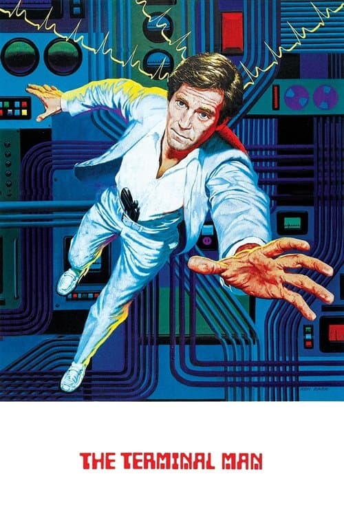 The Terminal Manのポスター