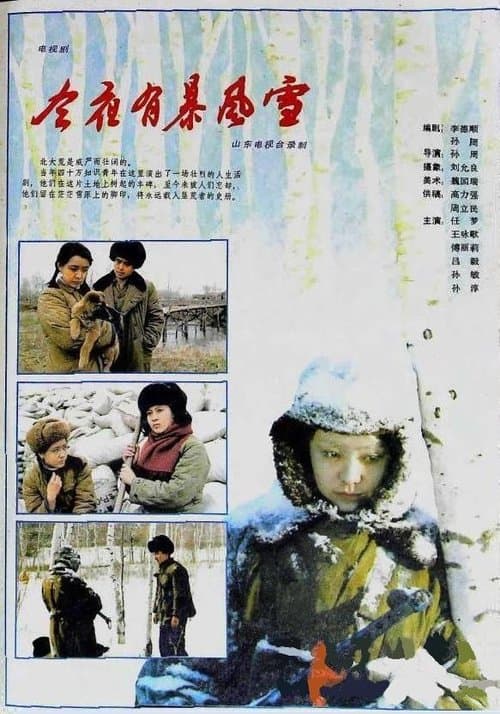 今夜有暴风雪のポスター