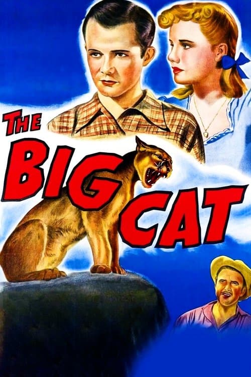The Big Catのポスター